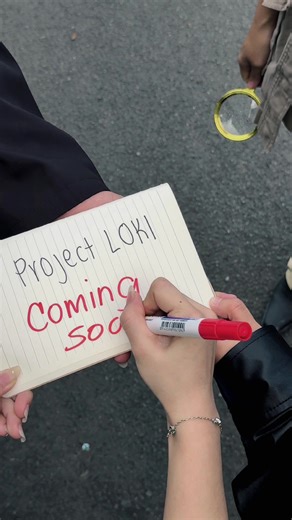 Unraveling Mysteries with Project Loki