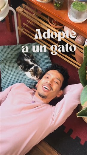 Por qué la ceropegia se ha vuelto mi favorita