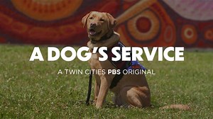 A Dog's Service - Twin Cities PBS