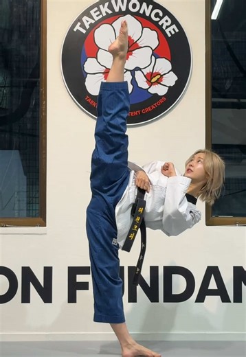 Mastering Taekwondo Kicks for All Levels