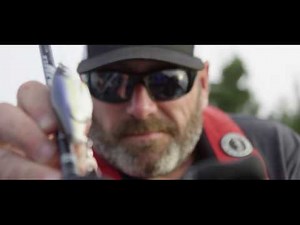 LIVETARGET Commotion Shad