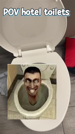 POV hotel toilets