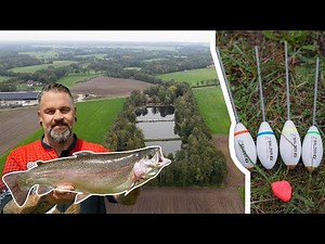 Sbirolino fishing at the trout pond | Active and passive with dough and bee maggots | Live bites