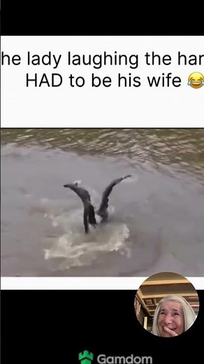 Territorial Swan Attacks Swimmer #shorts #wildlife #funny