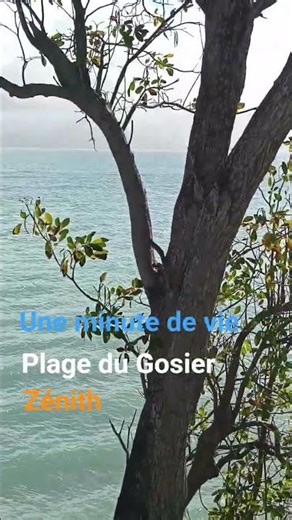 Vu en hauteur de la plage du Gosier (Devant le Zénith)