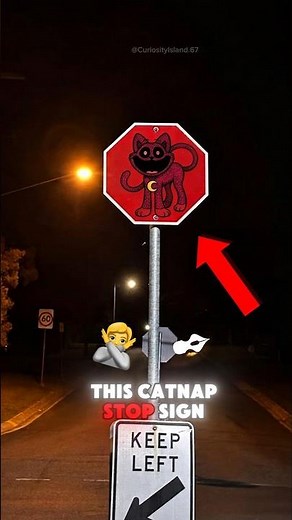 If You See This CatNap Sign at Night… TURN BACK IMMEDIATELY 😨🐱