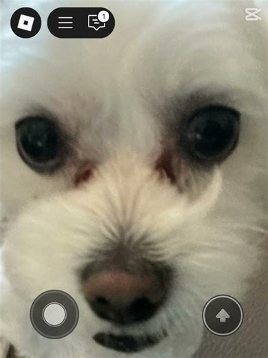 Pov: willy on roblox… I like the song comment if u want again 2022 or 2004??