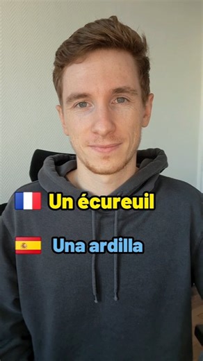 4.5K views · 357 reactions | Prueba tu pronunciación con este test de francés nivel avanzado. #frances #hablarfrances #aprenderfrances #apprendrelefrançais | elmartino10 | Facebook