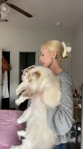 48K views · 723 reactions | People always tell me my cats look small in person, but they look so big in this video | William DMcDonaldlg | Facebook