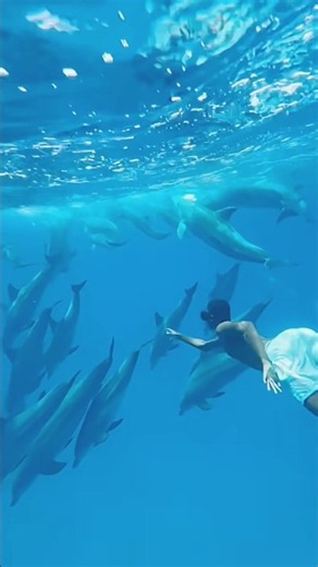This Swimmer Shocked Everyone With His Incredible Skills! 😱🏊 #shorts