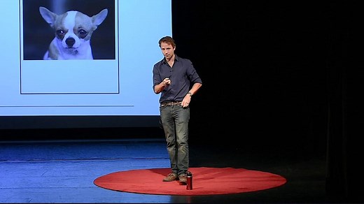 Your Brain, Your Life