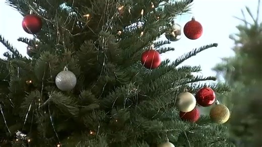 Hidden allergens on your Christmas tree? How to keep the holidays sneeze-free