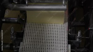 Cheese processing at food factory. Cheese factory manufacturing process.