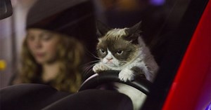 The Grumpy Cat Trailer Is Even Grumpier Than You'd Expect