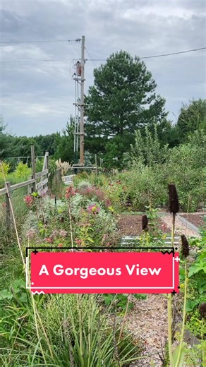 The best #view 🌿✨ #garden #naturelover #wow