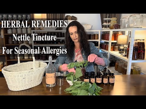 Nettle Tincture For Seasonal Allergies / Herbal Remedies Stinging Nettles