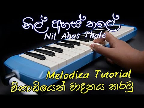 Nil Ahas Thale Organ Notes Sinhala | Nil Ahas Thale Age Notes | Sinhala Lamaa Geetha | Clear Explain