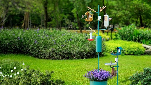 Review: Bird Buddy's Hummingbird Feeder and Accessories Put Nature at Your Fingertips