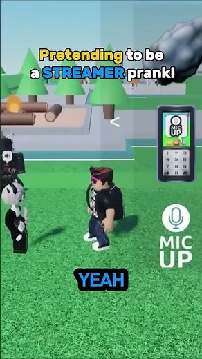 Trolling as streamer in Roblox VR CHAT #streamer #roblox #trolling #nobrainjames @nobrainjames