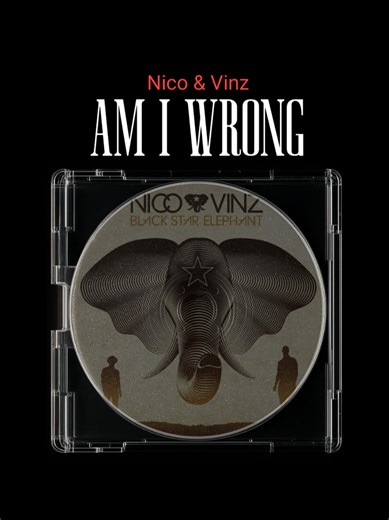 Exploring the Meaning Behind 'Am I Wrong?'