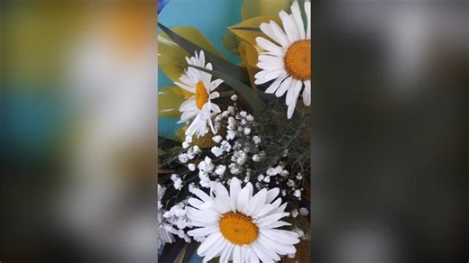 Видео Июль 2020 | OK.RU