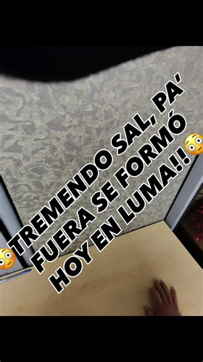 Pelea de clientes en Luma: Un día inolvidable