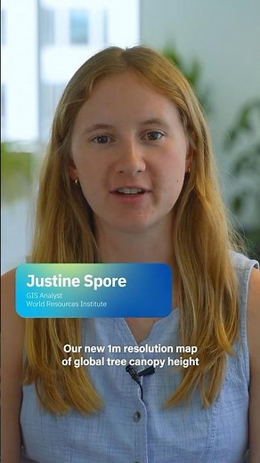 Mapping the World’s Trees in Unprecedented Detail with AI