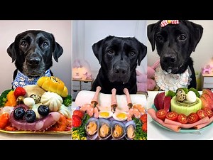 Most Satisfying Dog Eating Challenge Ever | 3 Dogs Test Healthy Snacks, Seafood Mix & Exotic Treats