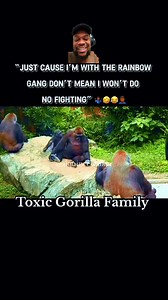 16K views · 975 reactions | Chester say don’t let that rainbow gang fool ya 路‍♂️ #funnyvoiceover #hilarious #alquincewalker #toxicgorillafamily #CapCut | Alquince Walker | Facebook