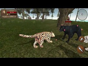 Ultimate Leopard Simulator - Leopard Vs Lion, Tiger, Hyena, Jaguar, Cheetah, Monkey, Crocodile #8