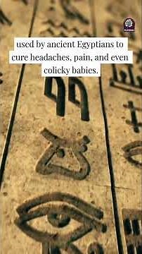 5 Facts About the Opium Poppy Flower