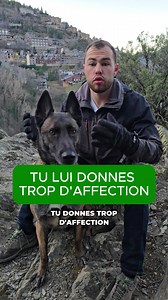 🐕 Stop à l’excès d’affection, start à la vraie dépense ! Trop de caresses, trop de restes de table, trop de « viens dormir dans mon lit »… Oui, on adore nos chiens, mais on les aime souvent mal. La vérité ? Ton chien n’a pas besoin d’affection à outrance. Ce dont il a vraiment besoin, c’est : 👉 Plus de dépenses physiques et mentales : des balades, des jeux, des activités stimulantes. 👉 Plus de socialisation : rencontres, découvertes, interactions. 💡 Un chien dix fois plus dépensé est un chie