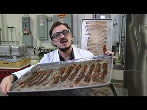 Hobart AM16 Tall Dishmachine - Washing Tall