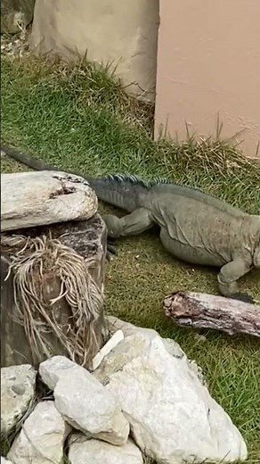 Avísenme 😴 #memes #gamer #storytime #humor #horadehistorias #dancesong #wildrift #partymusic