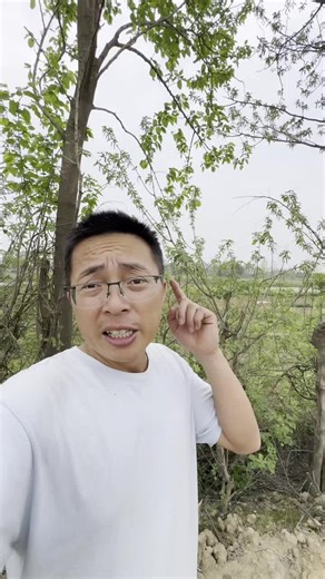 三位博主同时在被位于长沙的redmi 12 pro 异地登陆，到底怎么做到的？目的是什么