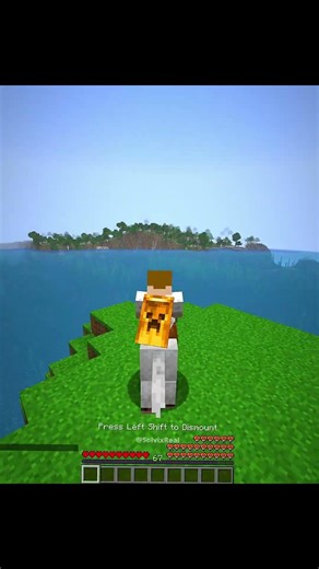 Minecraft Secret Commands Moment 💀