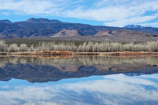 Explore a desert oasis 90 miles from Las Vegas