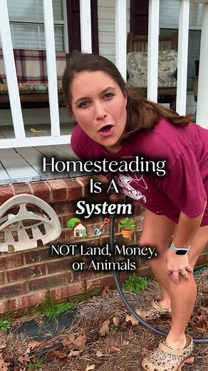 Beginner's Guide to Self-Sufficient Homesteading