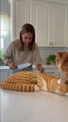 She Tried Cutting the Cake… The Cat Was NOT Having It! 😂🐱hox