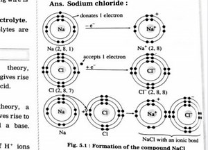 Explain the formation of sodium chloride (NaCl) with an ionic b... | Filo
