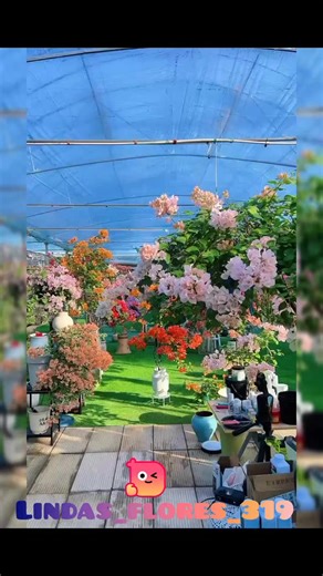 10🌺 #wastemanagement #wastemanagementsolutions #wastemanagementmadeeasy #wastemanagementopen #holidayseason #holidayseasonstyle #HolidaySeason2025 #HolidaySeasonReady #HolidaySeasonVibes #HolidaySeasonMagic | lindas_flores_319