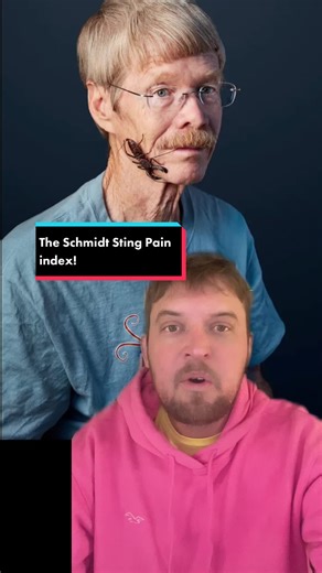 Exploring the Schmidt Sting Pain Index and Entomology