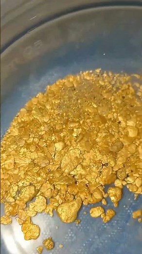 Gold Panning in River Gravel | Alluvial Gold Recovery Process