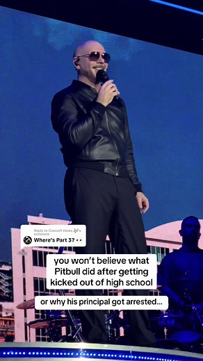 Pitbull Concert Highlights Part 3