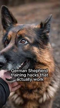 10 Genius German Shepherd Training Hacks That Actually Works