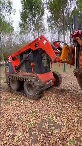 Skid Steer Tree Mover? 🌳🚜 (It’s Like a Tiny Giant!) #bigmachines #shorts
