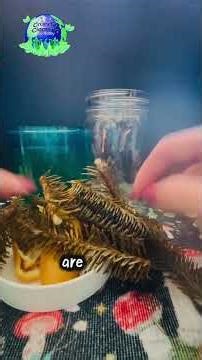 DIY vinegar spring cleaner recipe #crunchycleaningbykathy #vinegarcleaner #springclean