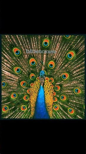 Talking To Clarry - The Bluetones - From the 1996 Album - 'Expecting To Fly'