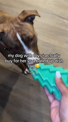 How to Choose Durable Dog Toys for Your Pet