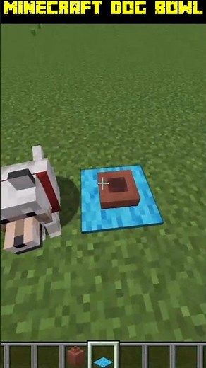 How to Make a Realistic Dog Bowl in Minecraft! 🐶 (Easy Trick)